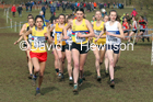 Senior women, 2020 British Athletics Inter Counties Cross Country Champs., Prestwold Hall, Loughborough. Photo: David T. Hewitson/Sports for All Pics